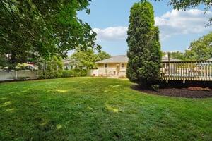 Landscaped Yard
