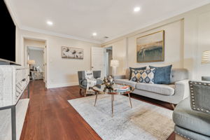 Downstairs LIVING Room