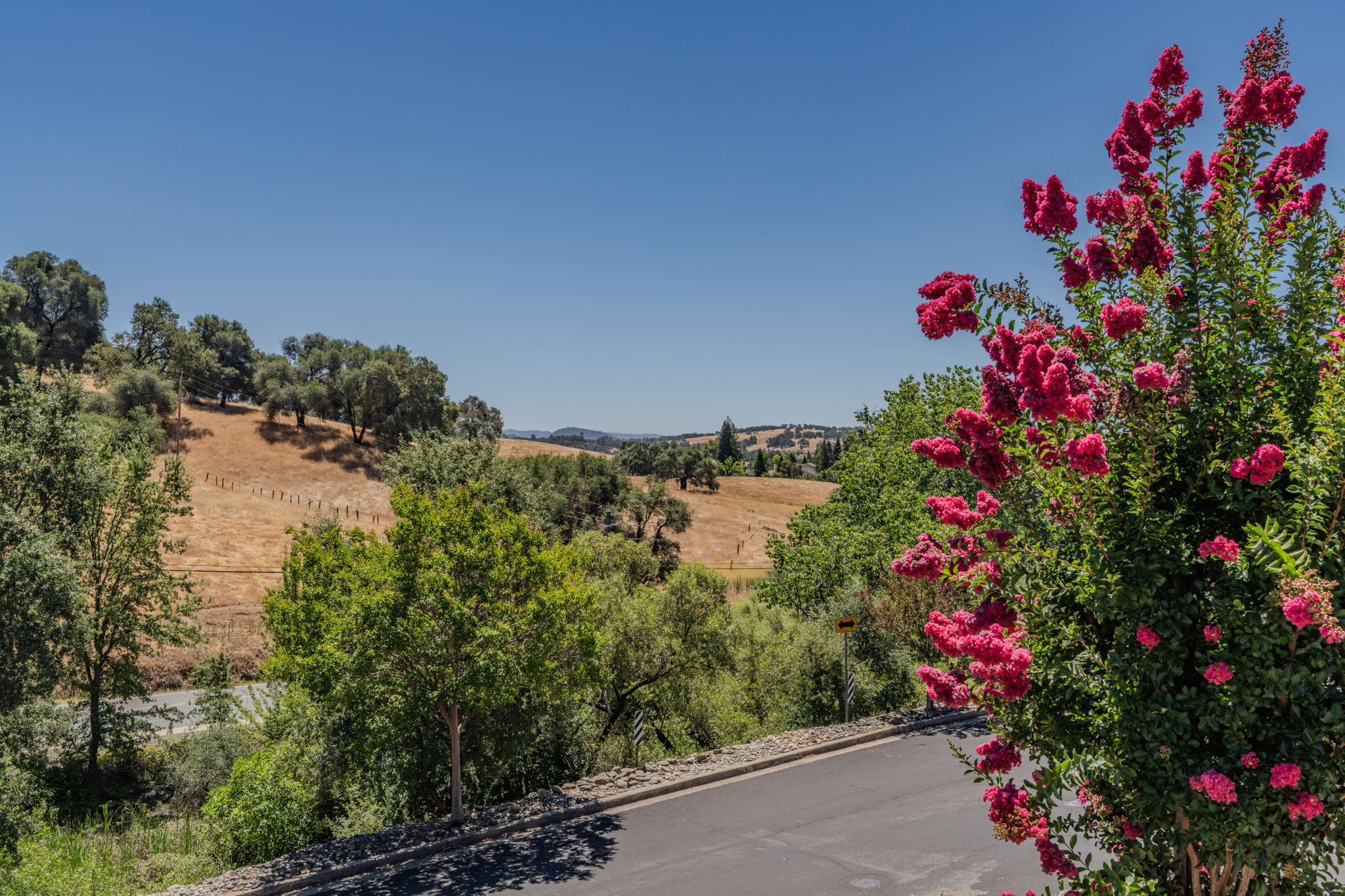 Photo 52