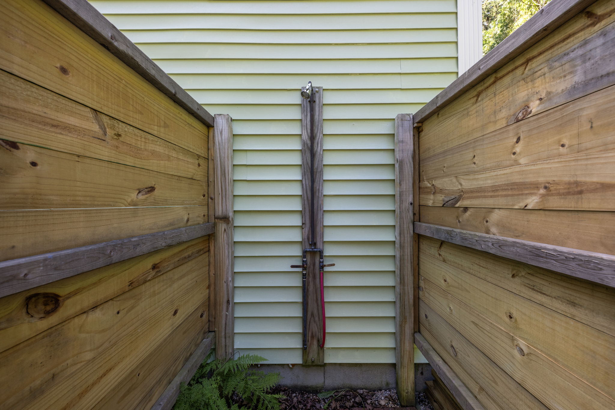  Photo 41