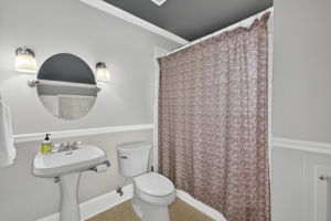  Photo 49