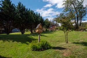  Photo 49