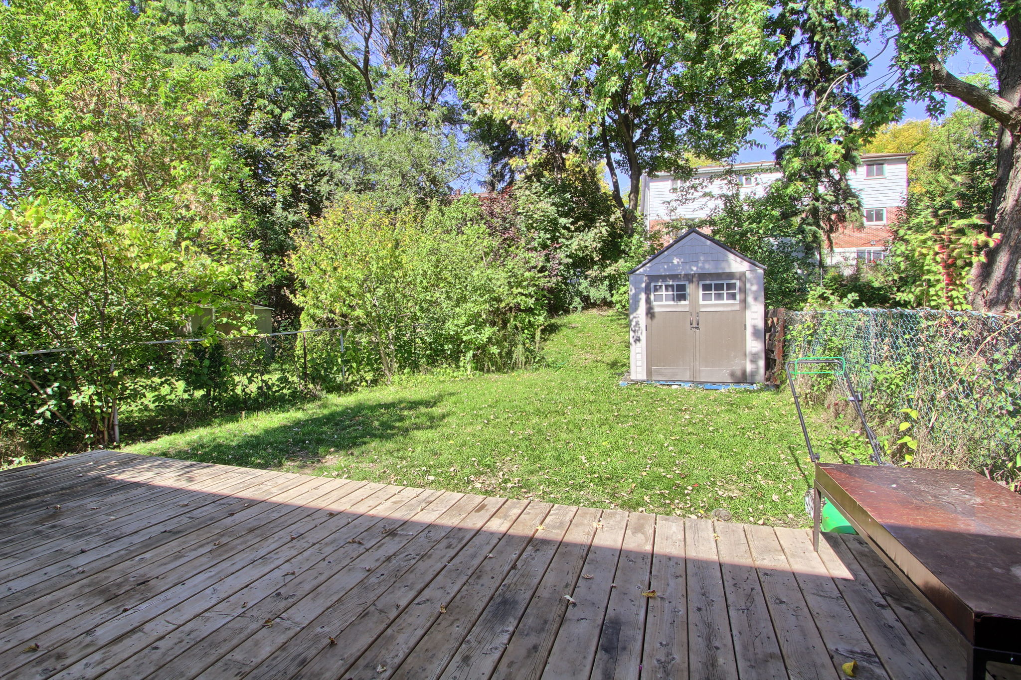  Photo 45