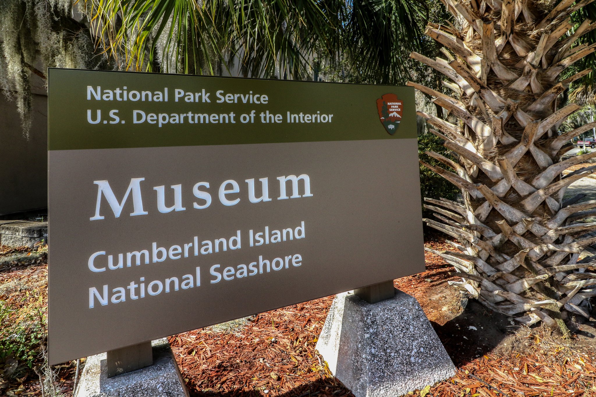 Cumberland Island