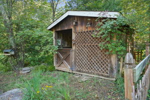  Photo 41