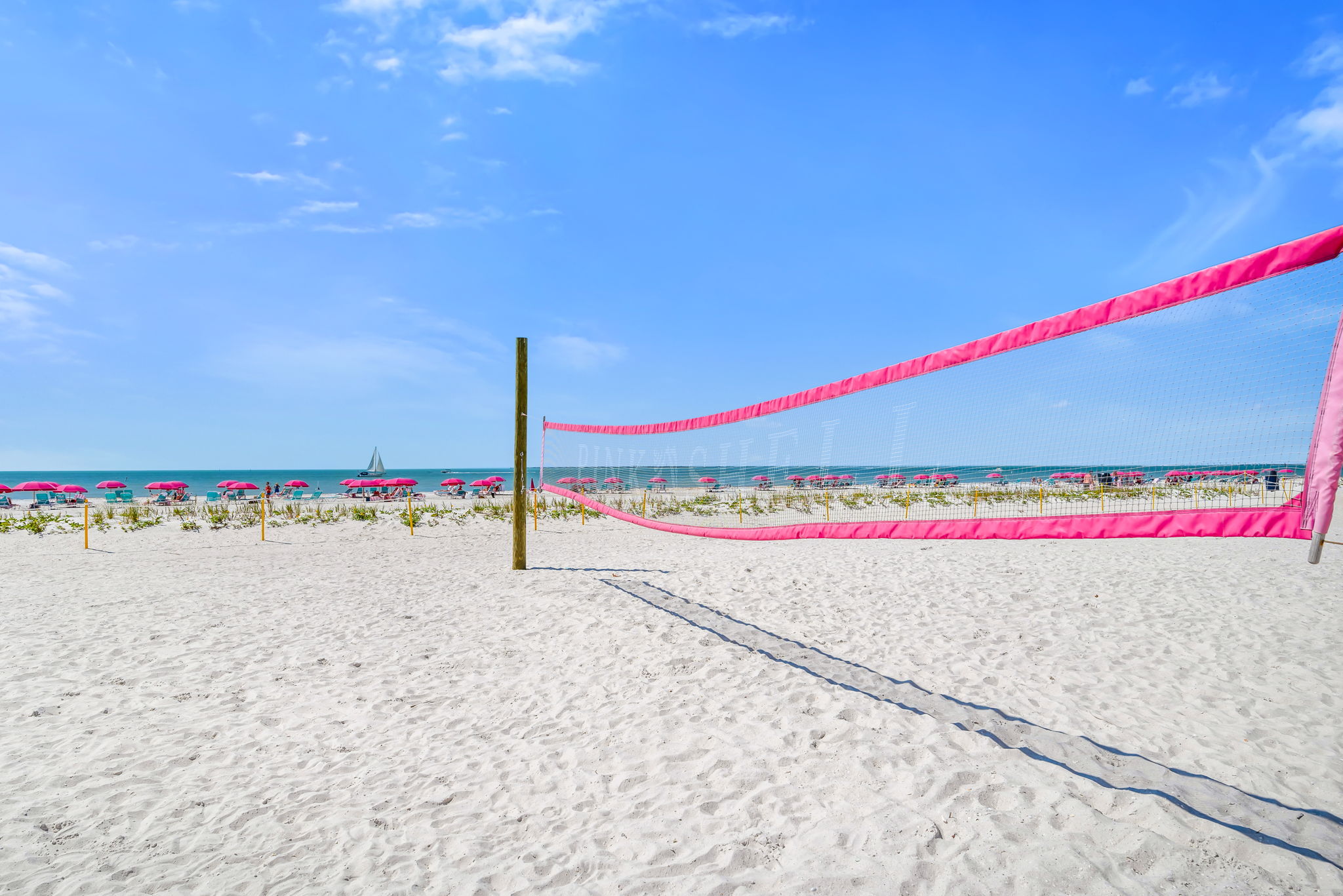 Volleyball Net