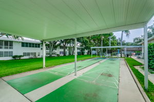 Shuffleboard