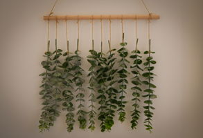  Photo 35