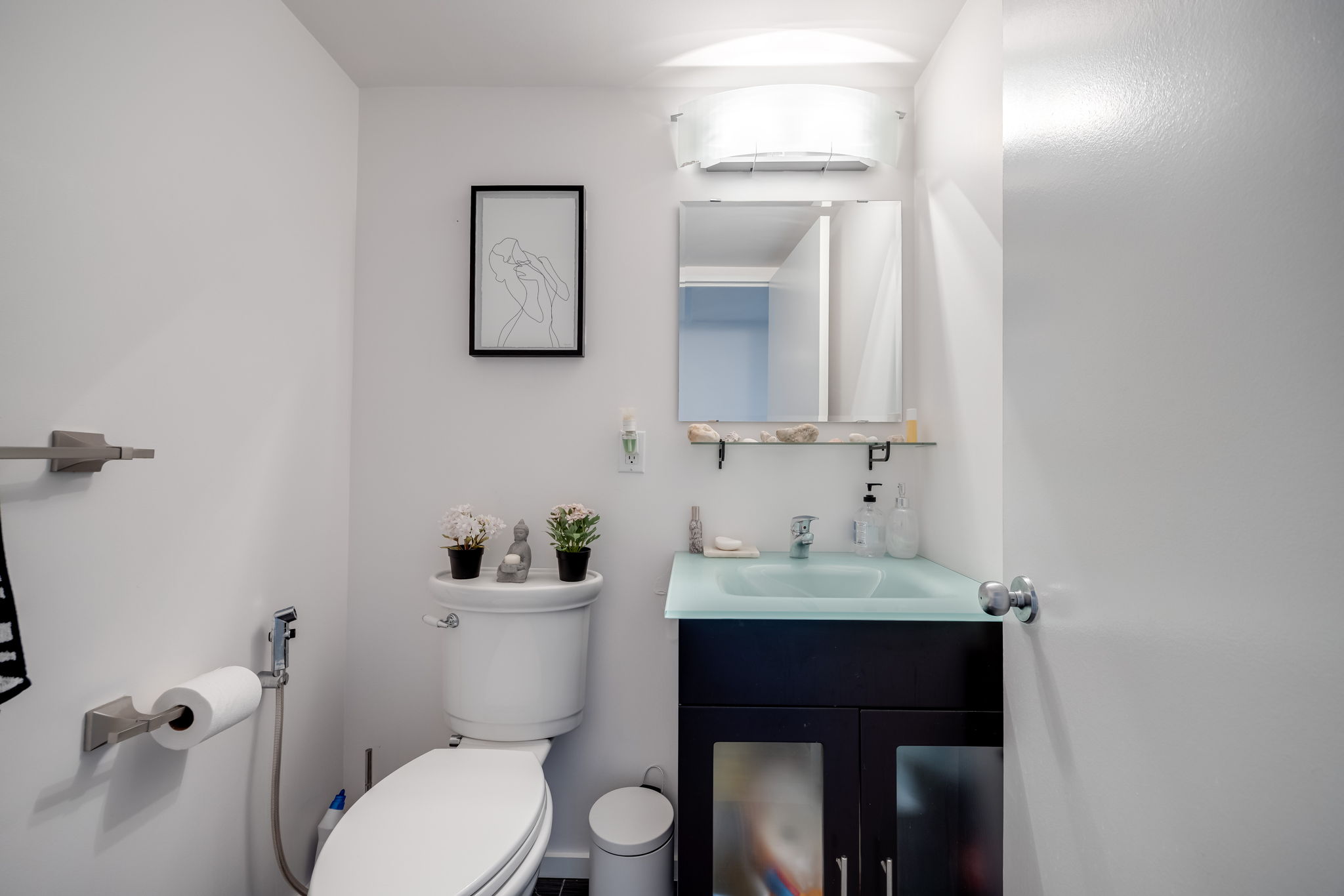 Toronto property showcase — delivered property photograph 21