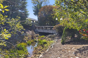  Photo 0