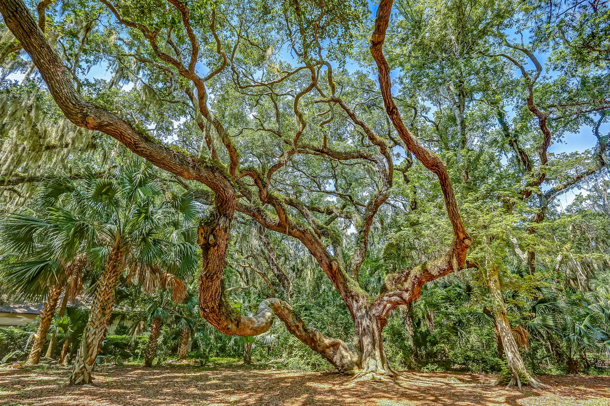 Amelia Island Plantation