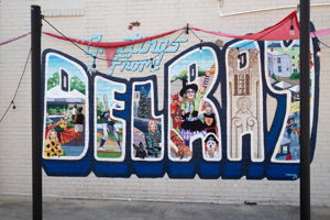  Photo 45