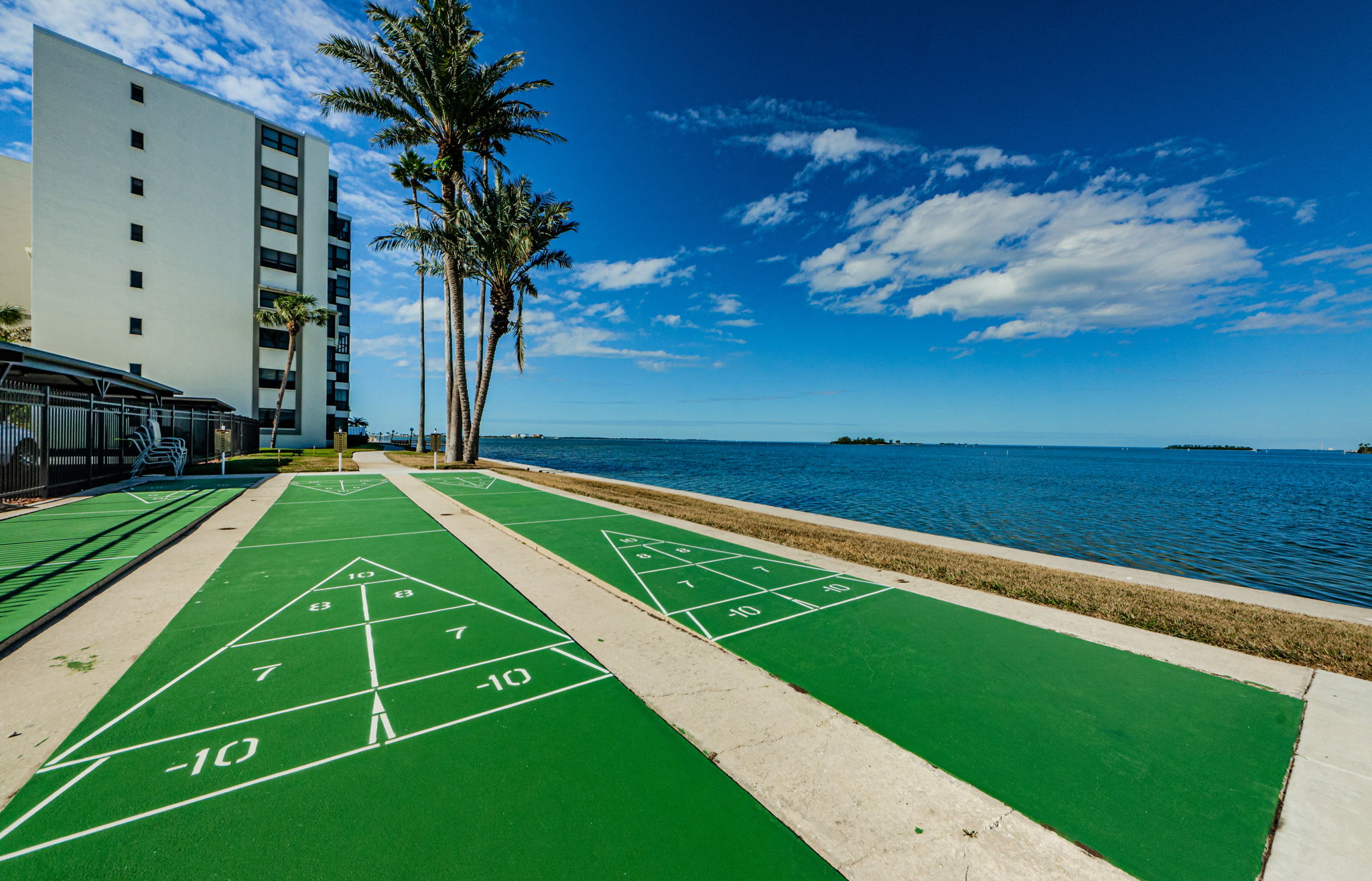 Shuffleboard 1