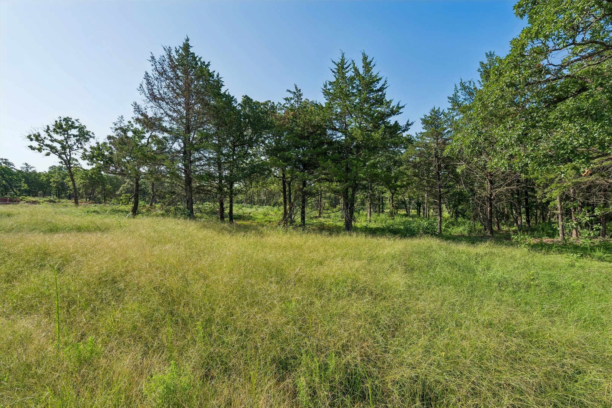 2000 Liberty Lake Trail_003.jpg