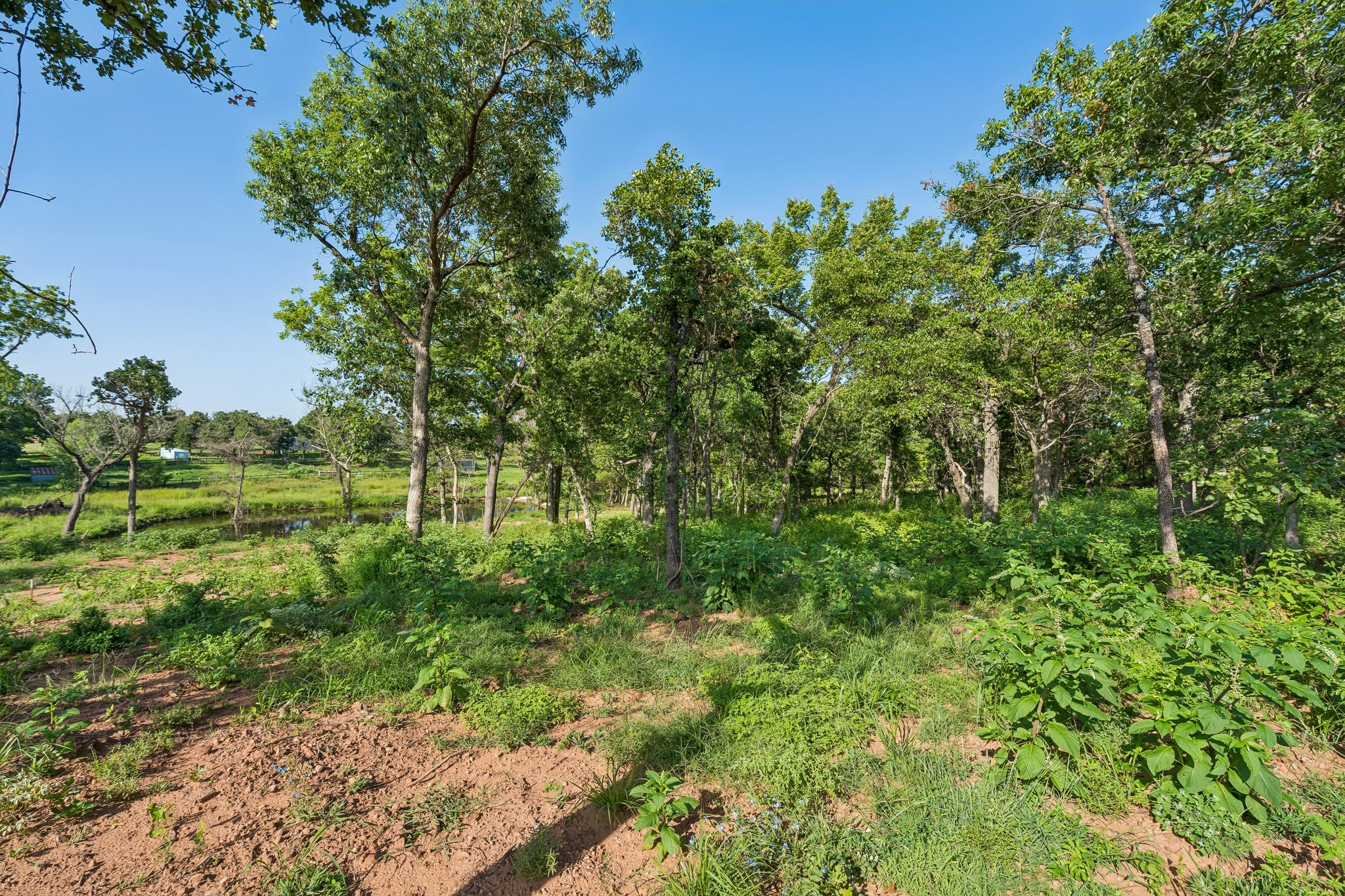 2000 Liberty Lake Trail_009.jpg
