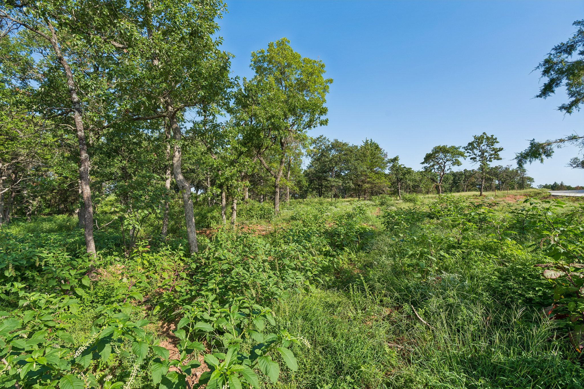 2000 Liberty Lake Trail_010.jpg