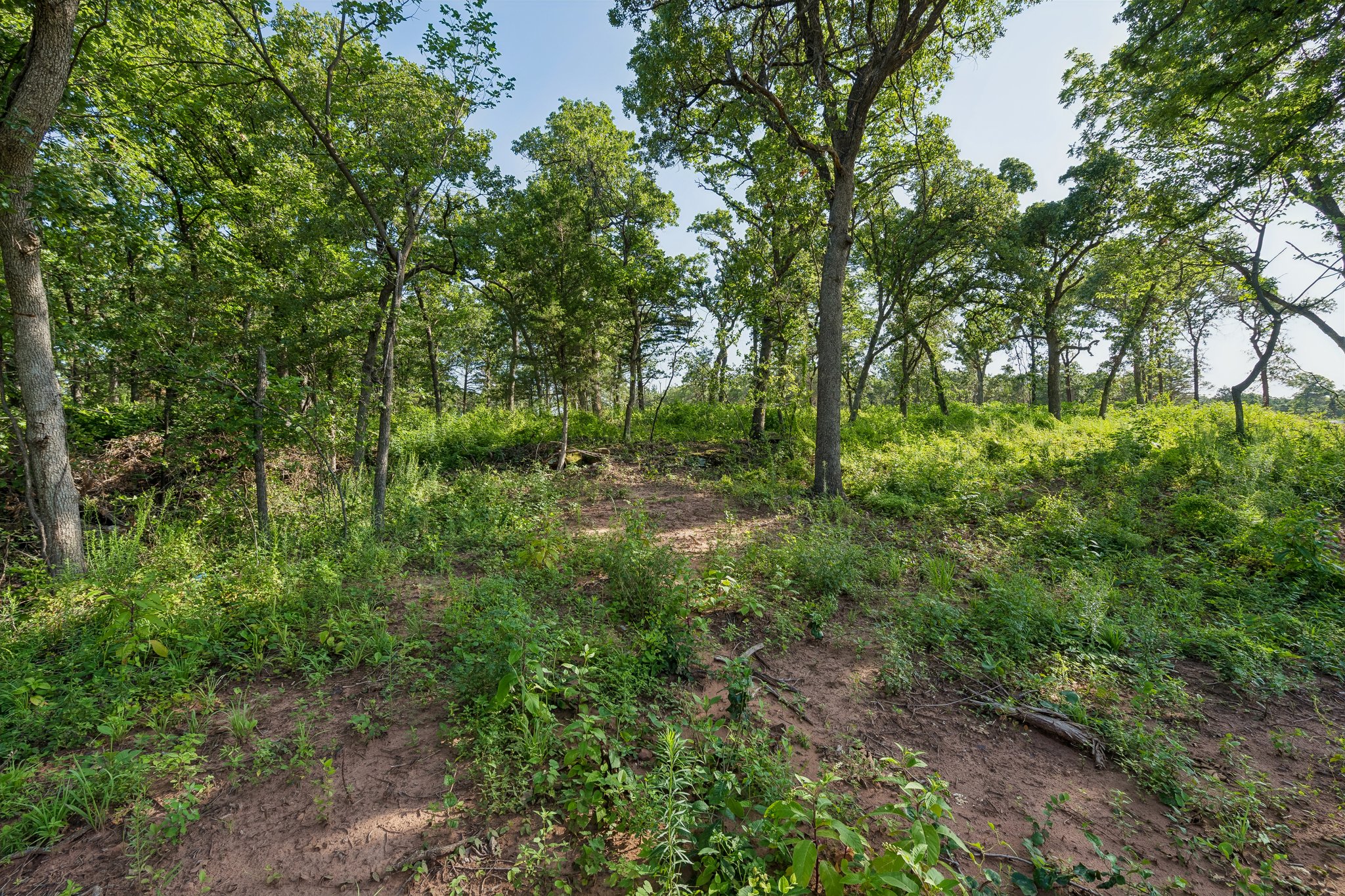 2000 Liberty Lake Trail_018.jpg
