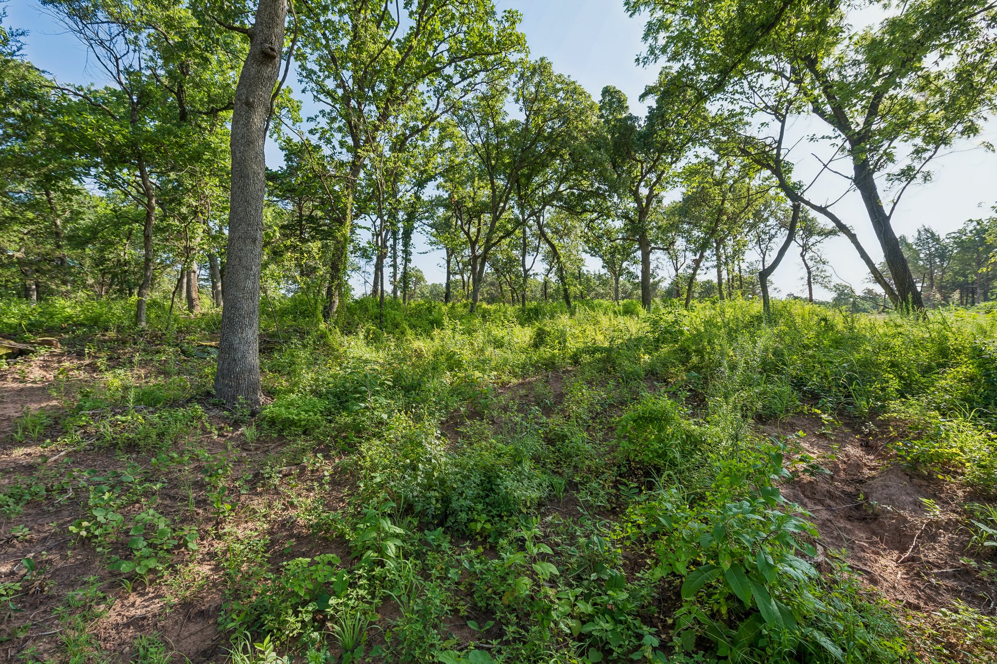 2000 Liberty Lake Trail_020.jpg