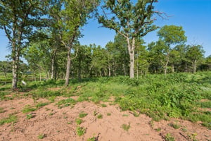 2000 Liberty Lake Trail_007.jpg