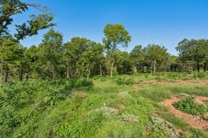 2000 Liberty Lake Trail_008.jpg