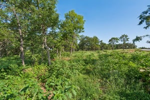 2000 Liberty Lake Trail_010.jpg