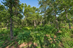 2000 Liberty Lake Trail_011.jpg