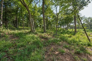2000 Liberty Lake Trail_017.jpg