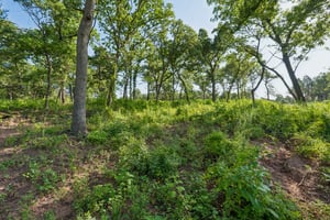 2000 Liberty Lake Trail_020.jpg