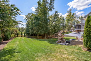 52-Backyard