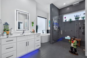 Primary Bathroom 1 of 3