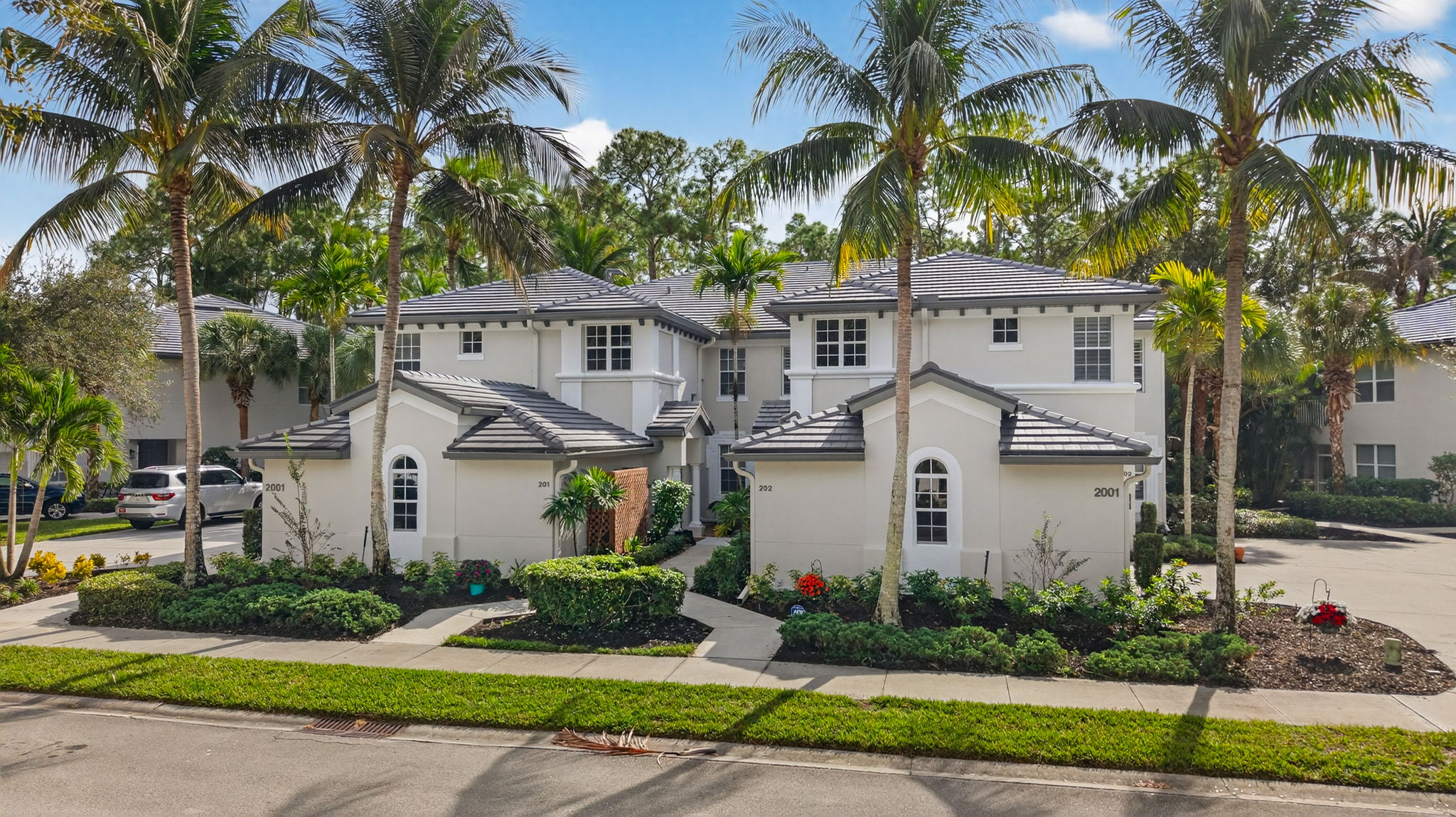 Tropical landscaping, palms along sidewalks