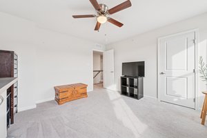  Photo 23