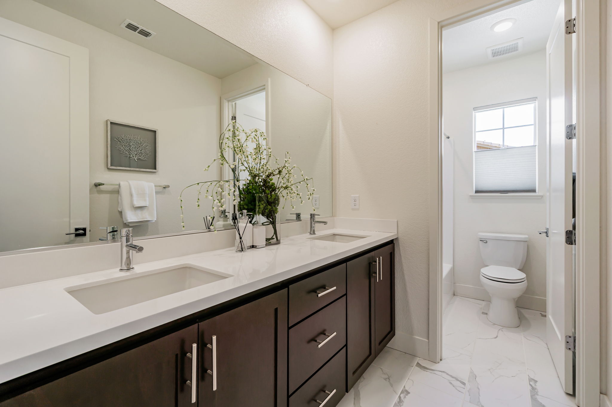 Hallway Guest Bath