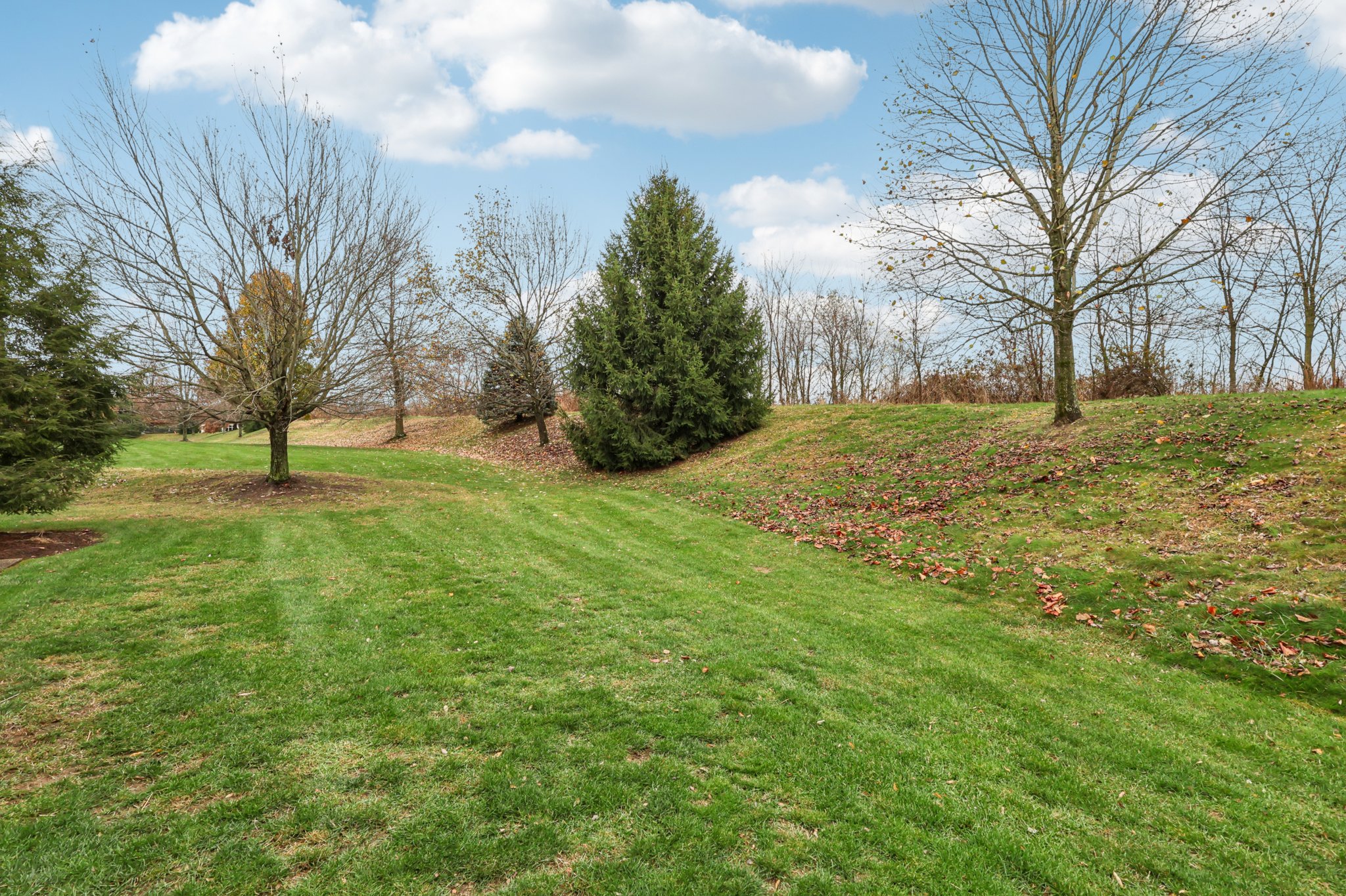 Deacon Dr-S2011-072.jpg