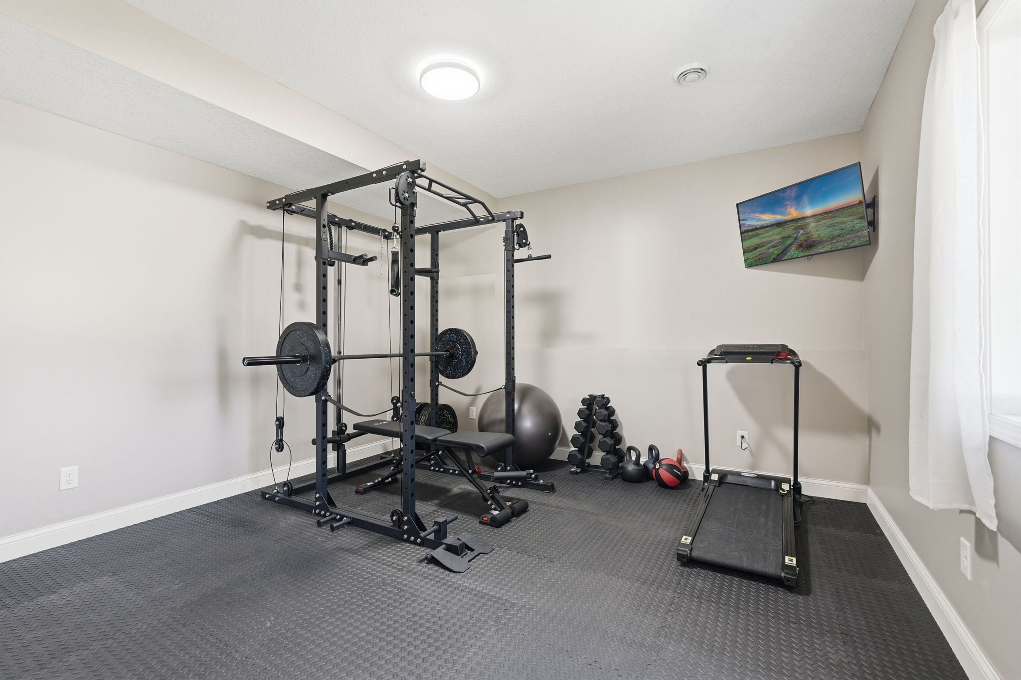 20024 Fern Glen Lane N - 5th bedroom in lower level - used as a gym