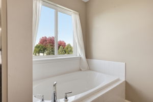 20024 Fern Glen Lane N -  Primary bathroom separate tub & shower