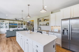 20024 Fern Glen Lane N - New high-end industrial pendant lighting