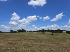 Looking Northeast is the larger well house on right and the beautiful land with elevations ready for your new home.