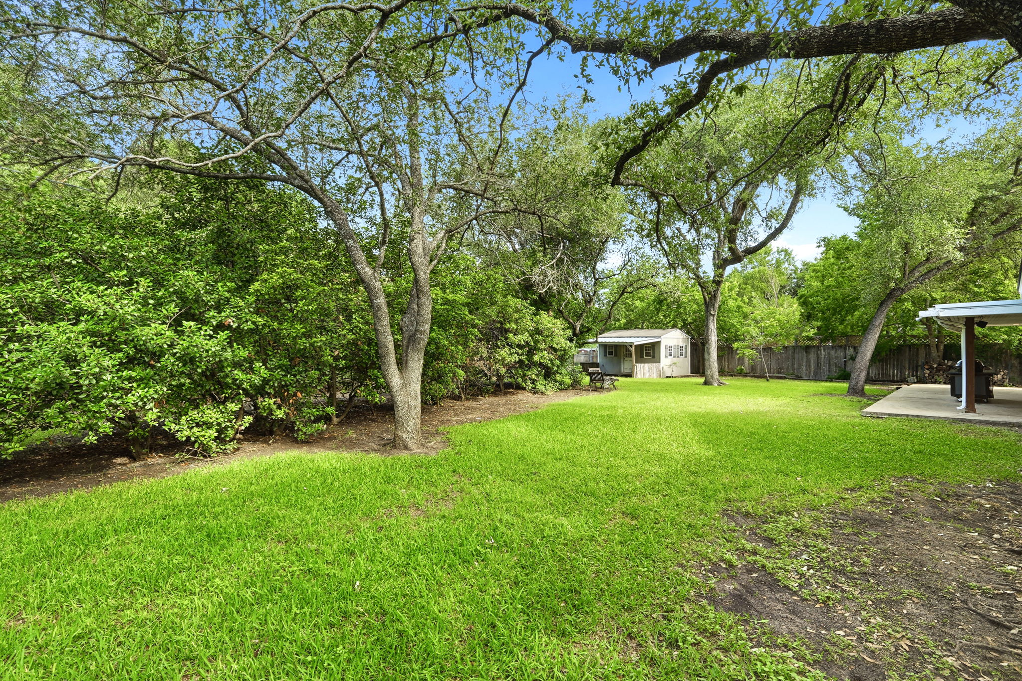 Back Yard/Fruit Trees