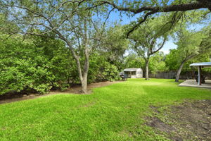 Back Yard/Fruit Trees