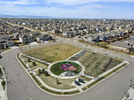 Plum Park