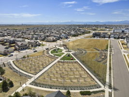 Cherry Park 2