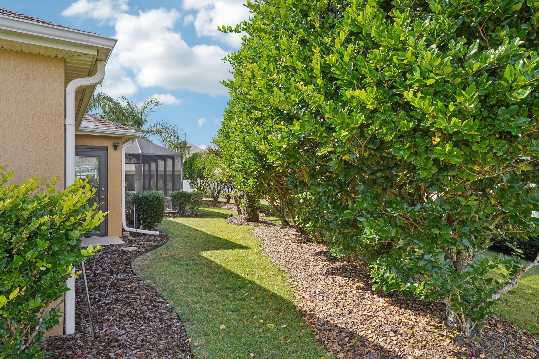 Royal Elm Rd-S0811-043.jpg