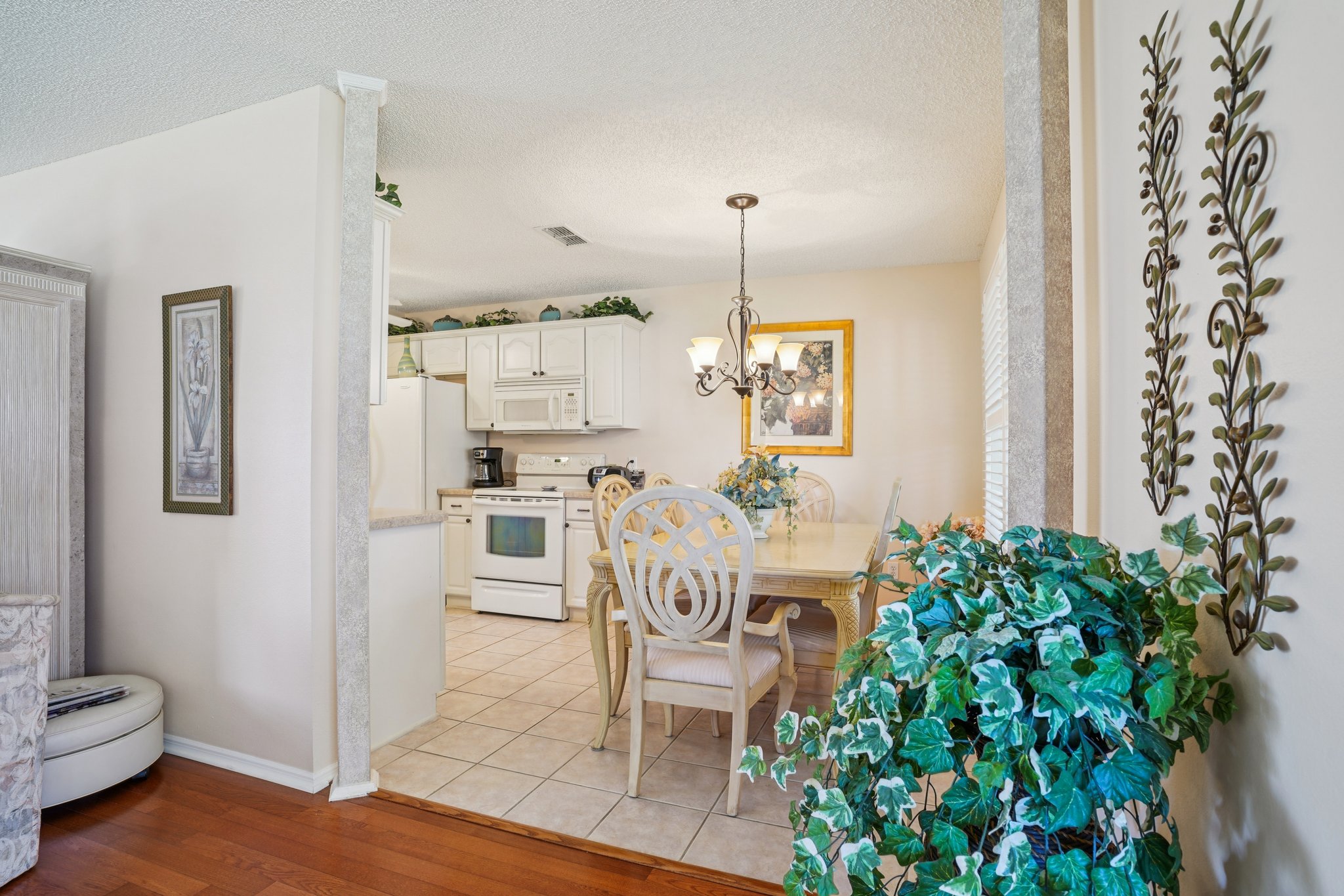 Claudio Ln-S1903-013.jpg