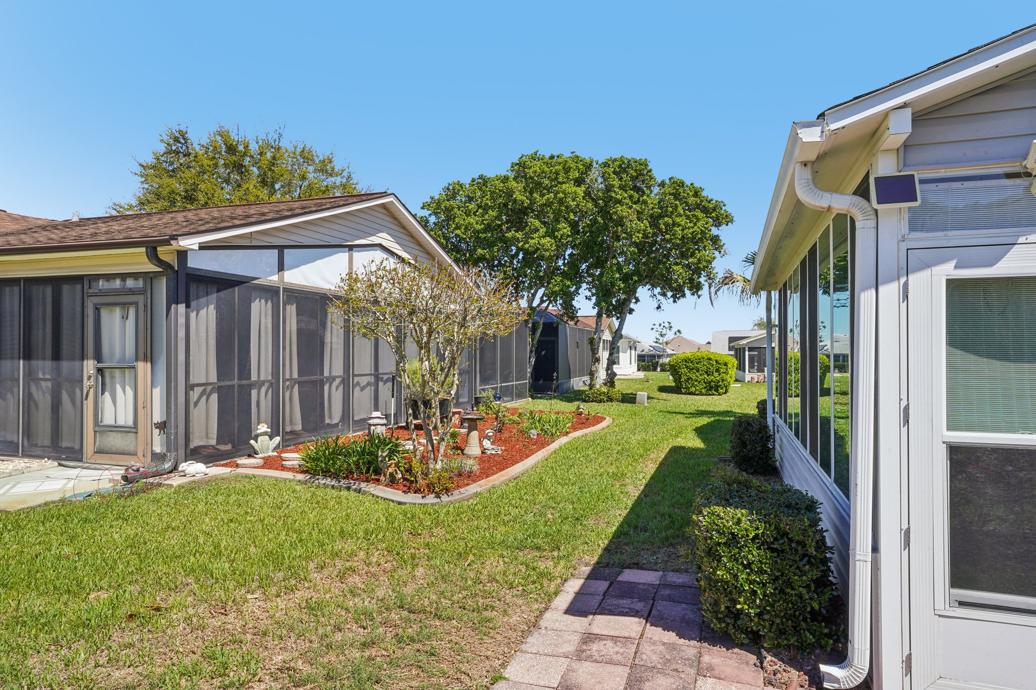 Claudio Ln-S1903-046.jpg