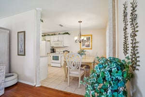 Claudio Ln-S1903-013.jpg