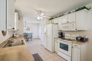 Claudio Ln-S1903-019.jpg