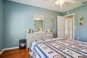 Claudio Ln-S1903-029.jpg