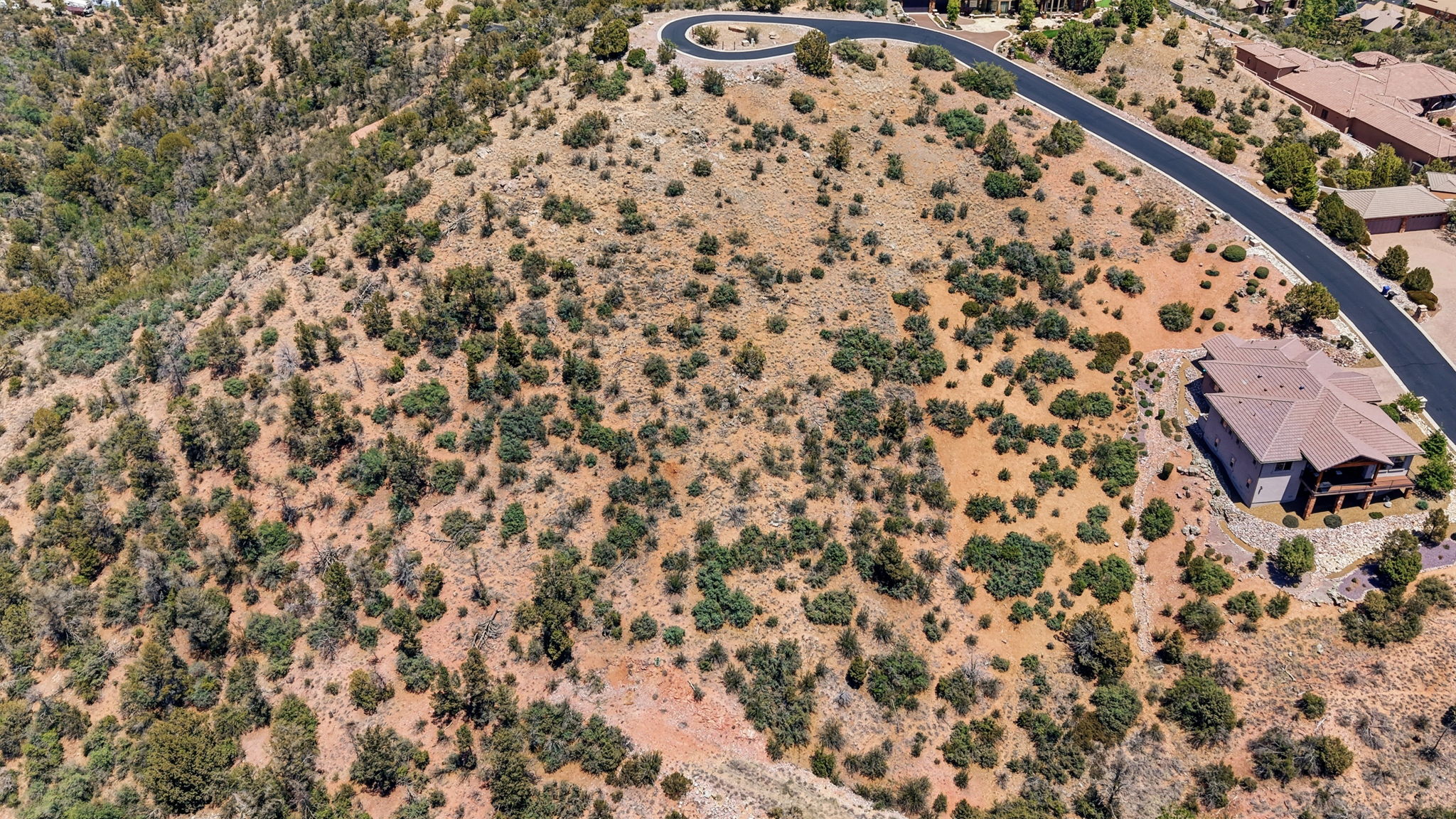 Birds Eye