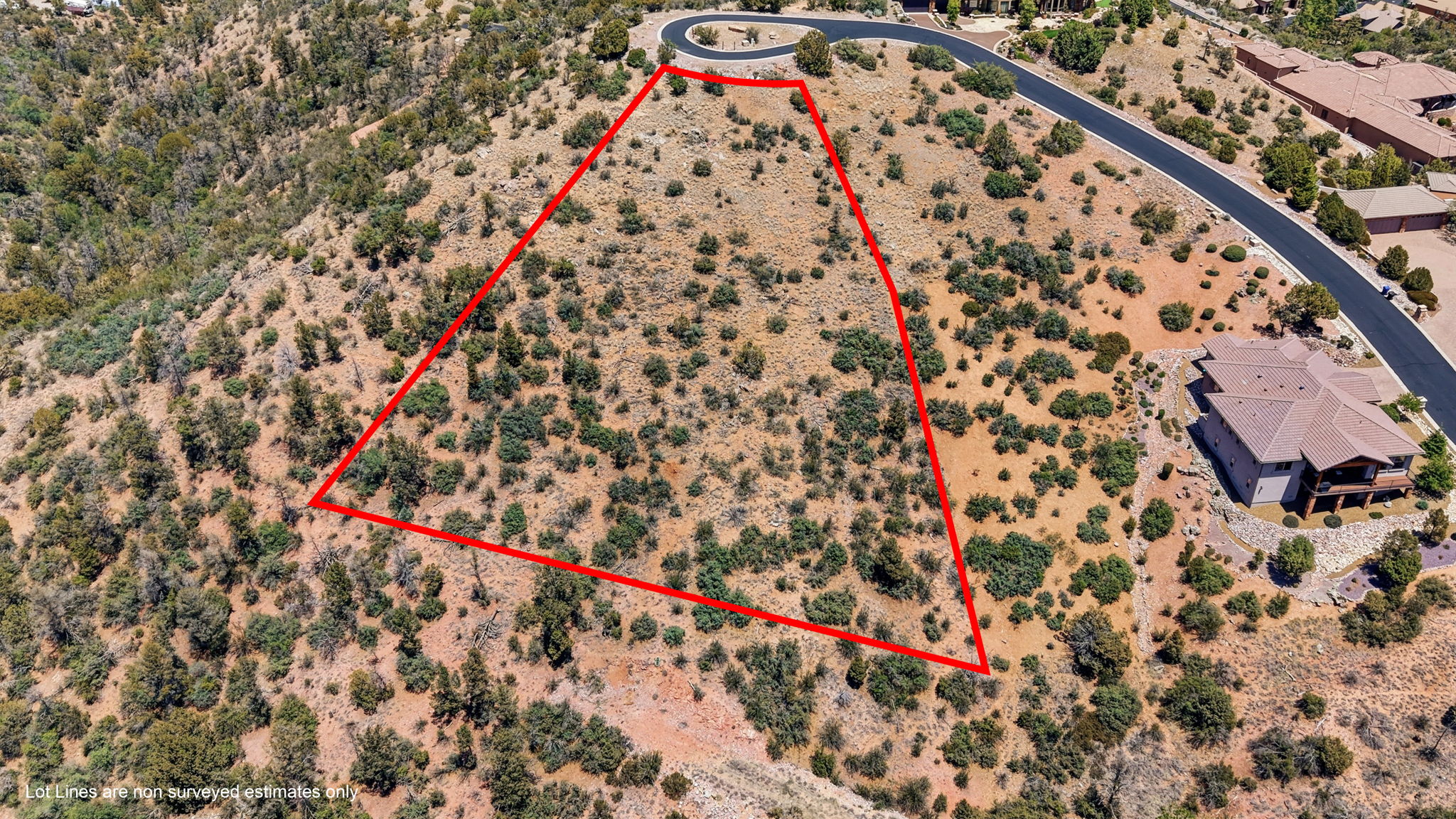Birds Eye Lot Lines